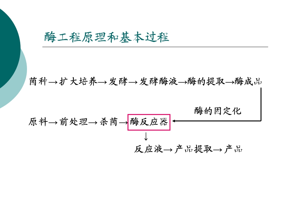 酶工程第六章酶反应器.ppt_第2页