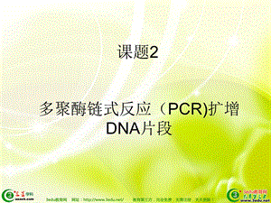 高二生物PCR技术.ppt