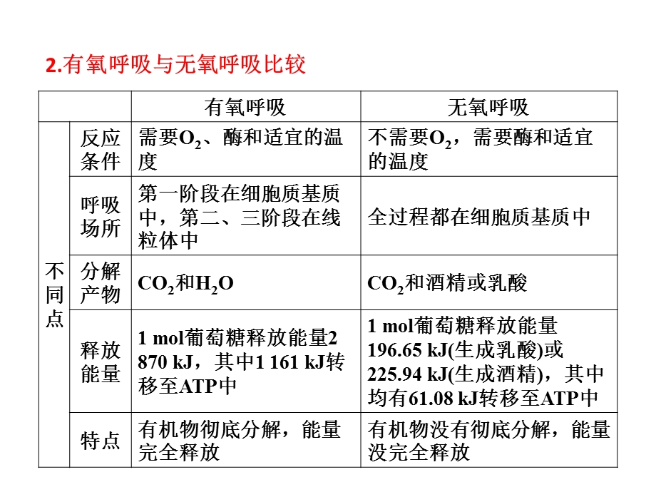 高三生物复习-细胞呼吸.ppt_第3页