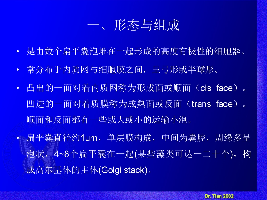 高尔基体、溶酶体、过氧化物酶体.ppt_第2页