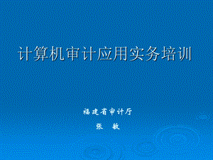 计算机审计应用实务培训.ppt