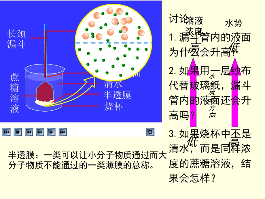 高一生物-物质跨膜运输的实例-ppt.ppt_第3页