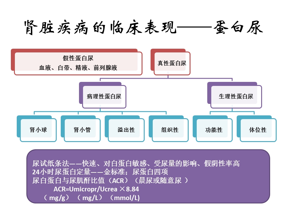 肾脏疾病的诊断思路.ppt_第3页