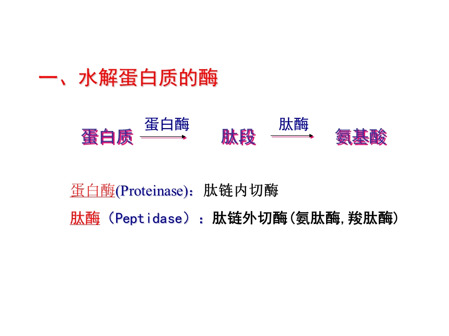 蛋白质的酶促降解和氨基酸代谢讲.ppt_第3页