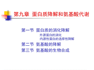 蛋白质的酶促降解和氨基酸代谢讲.ppt