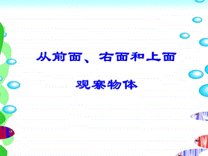 苏教版四年级上册《从前面、右面和上面观察物体》.ppt