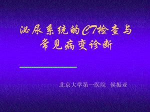 肾脏疾病的CT诊断.ppt