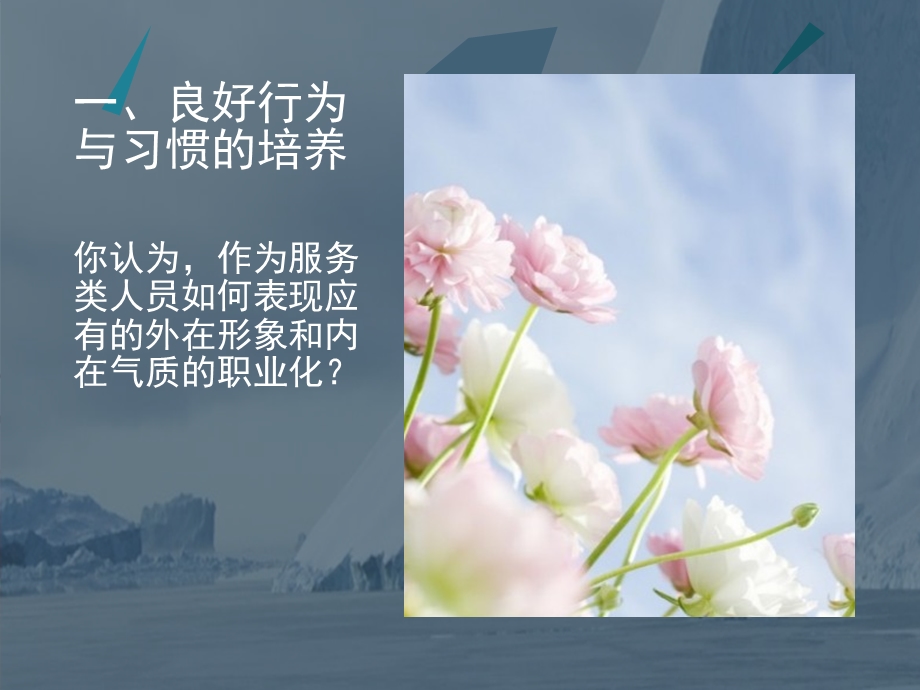 良好的形象和气.ppt_第2页