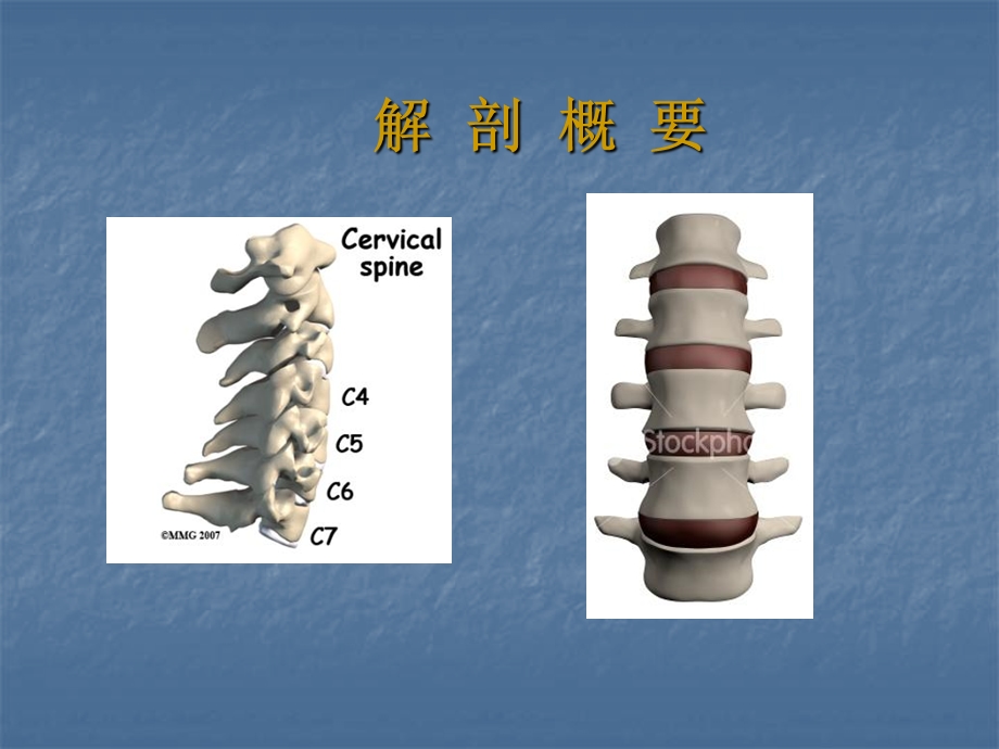 颈肩痛的基础康复临床治疗.ppt_第2页