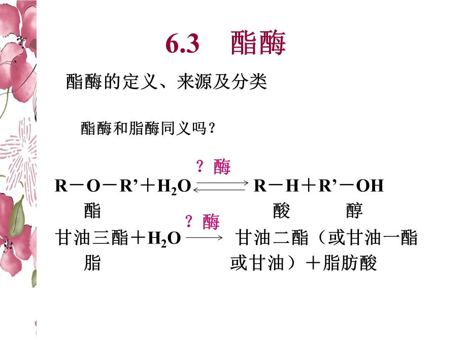 食品工业中应用的酶酯酶、多酚.ppt_第2页