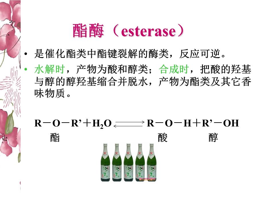 食品工业中应用的酶酯酶、多酚.ppt_第3页