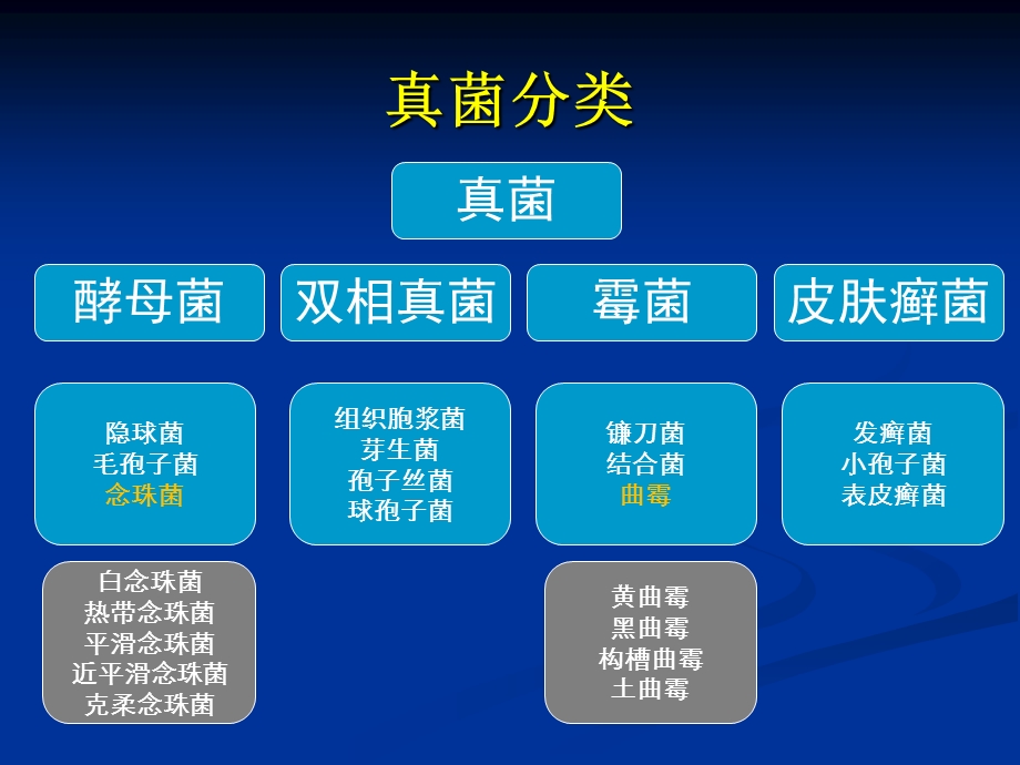 肺部真菌病诊断和治疗.ppt_第3页