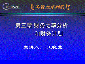 财务比率分析与财务预算.ppt