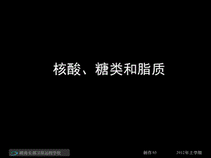 高二生物《核酸、糖类和脂质》.ppt