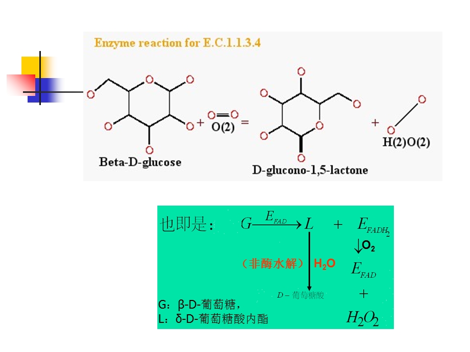 食品酶学葡萄糖氧化酶.ppt_第3页