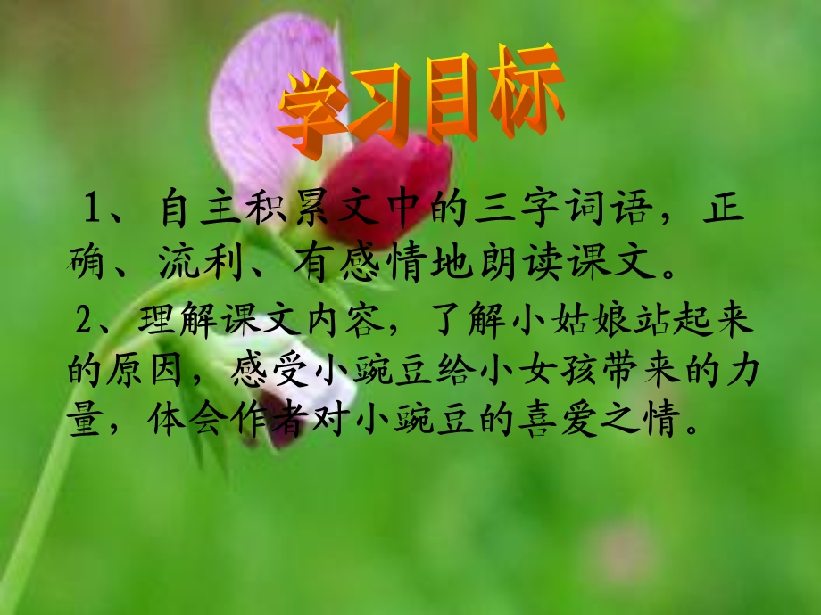 一颗小豌豆课件PPT.ppt_第2页