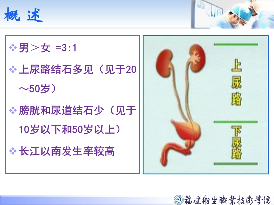 第十八章 泌尿系统结石病人的护理 尿石症.ppt_第3页