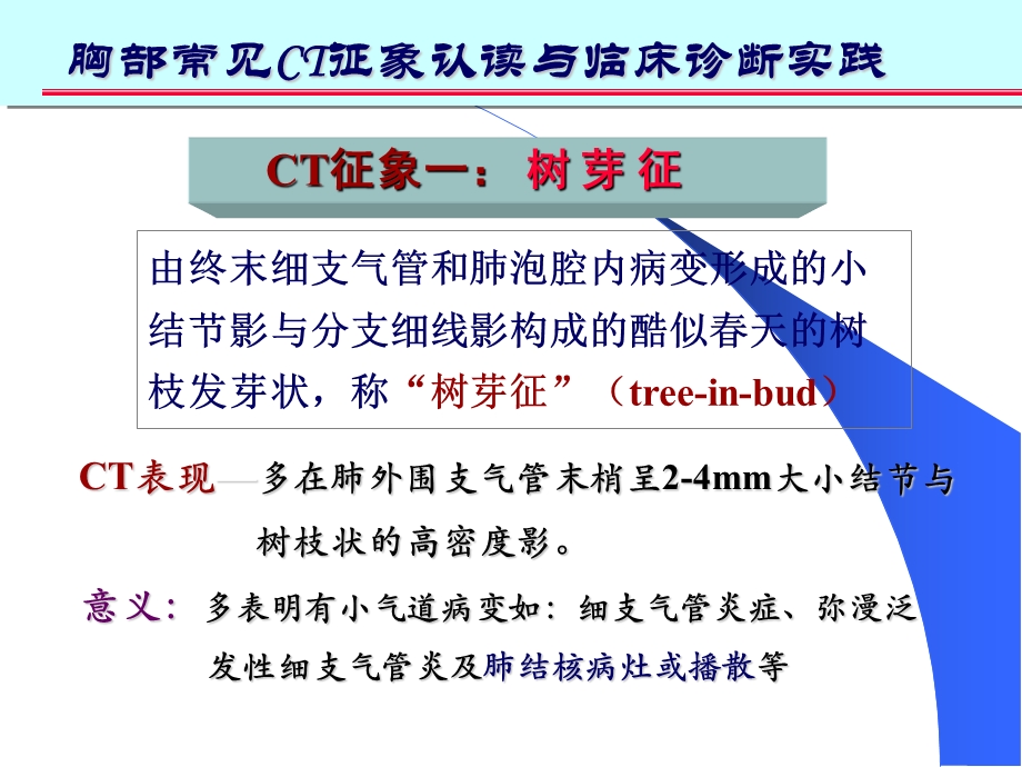 肺部CT十大征象诊断.ppt_第3页