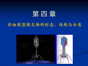 非细胞型微生物的形态、结构与分类精美.ppt