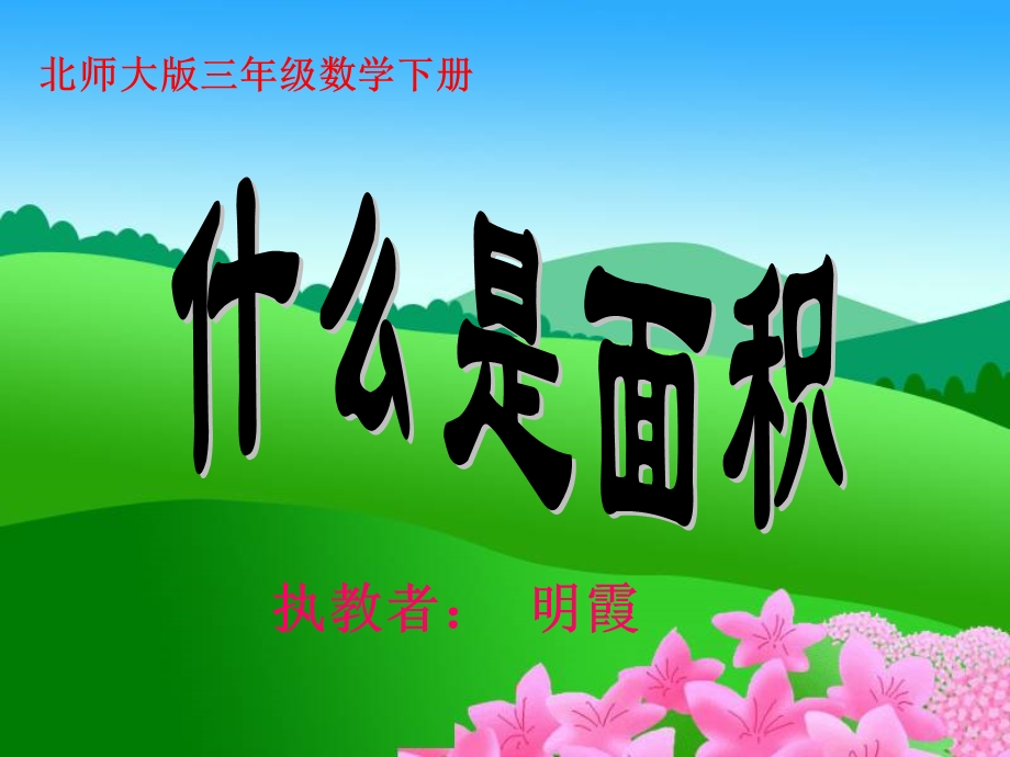 什么是面积PPT课件.ppt_第2页