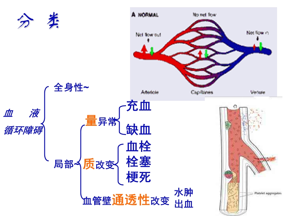 第三章局部血液循环障碍.ppt_第2页