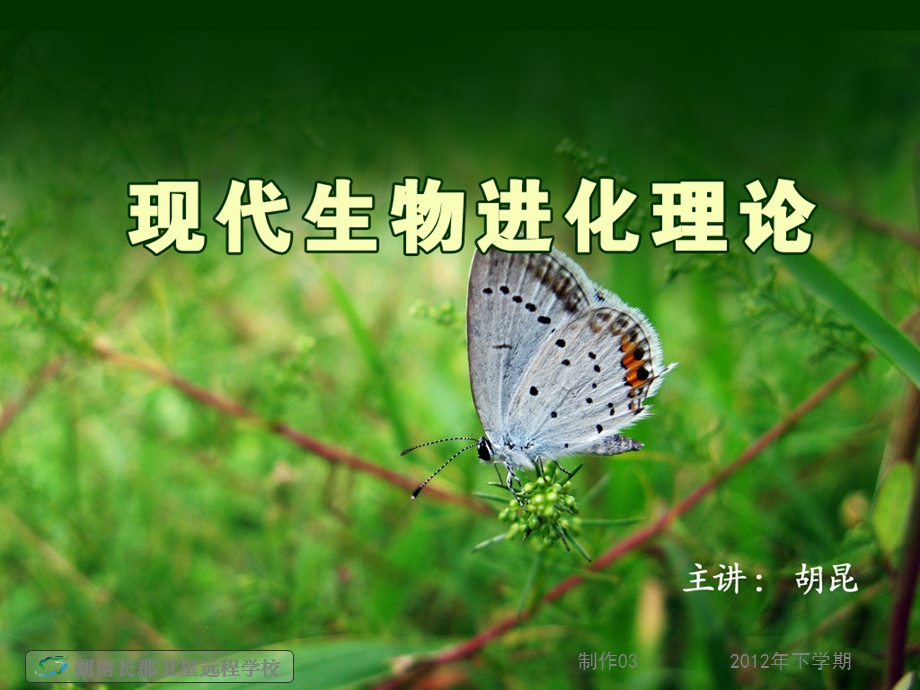 高三生物《生物进化》.ppt_第1页