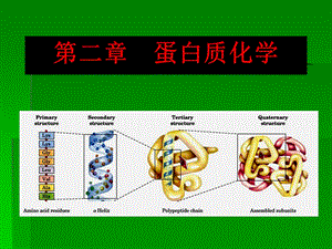 蛋白质化学第一部分.ppt