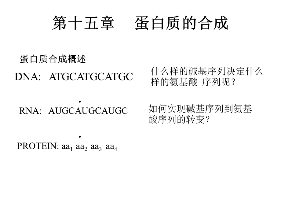 蛋白质生物合成和定义.ppt_第1页