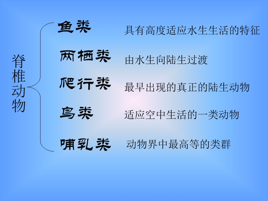 脊椎动物与无脊椎动物.ppt_第2页