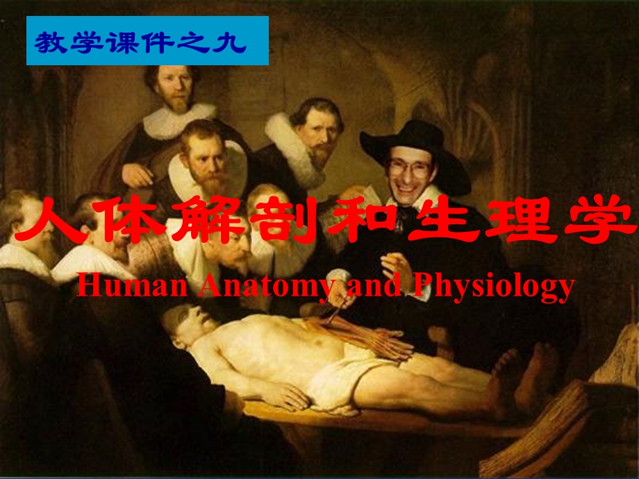 解剖生理学第九章能量代谢和体温调节.ppt_第1页