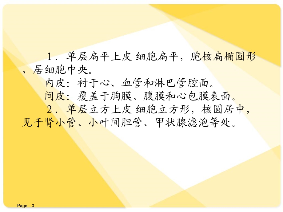 解剖学课件基本组织.ppt_第3页