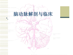 脑动脉解剖与临床.ppt