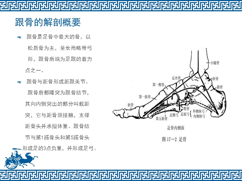 跟骨骨折的护理ppt课件.ppt_第2页