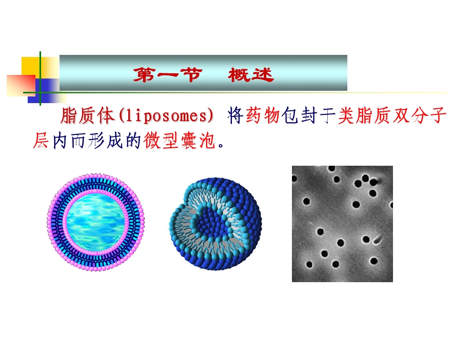 药剂学课件-脂质体.ppt_第3页