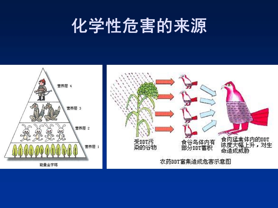 食品中的化学性危害与预防控制.ppt_第3页