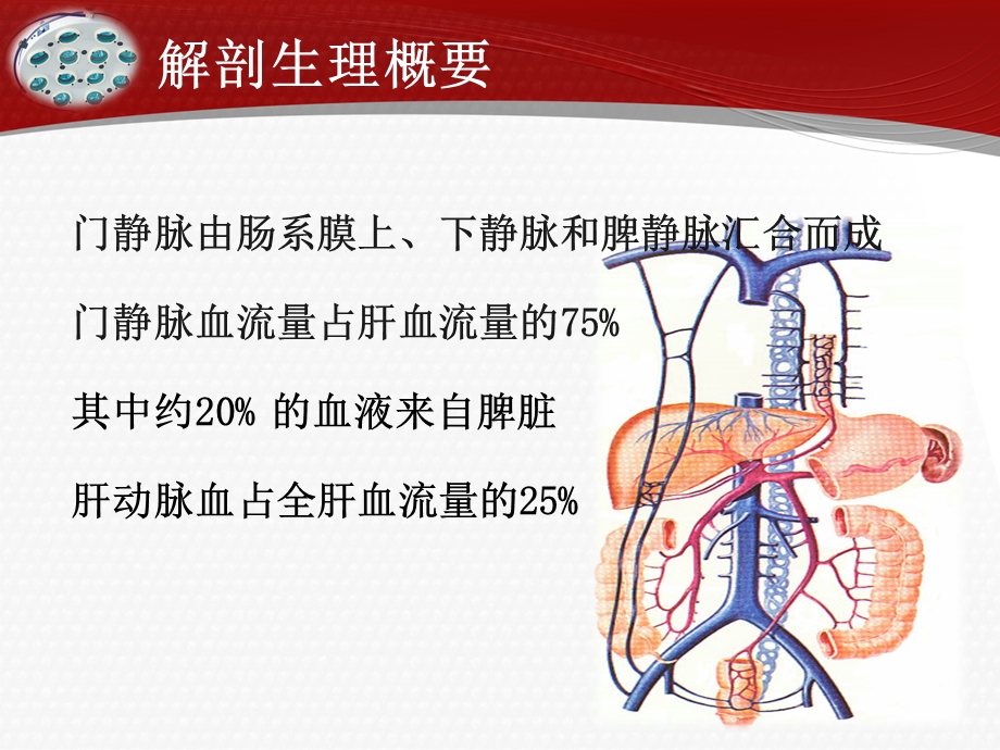 门静脉高压症患者的护理.ppt_第2页