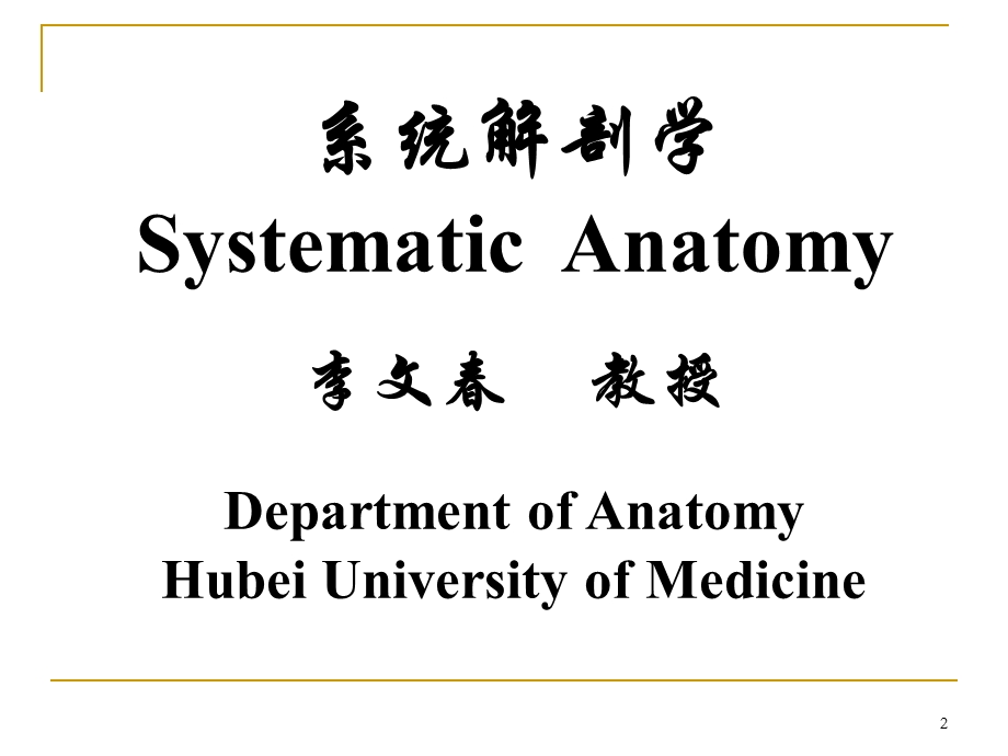 系统解剖学教学资料 绪论、骨学、躯干骨b.ppt_第2页