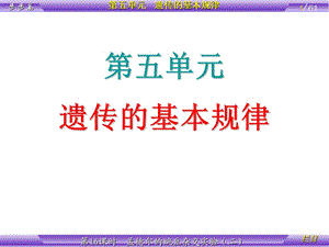 1.2孟德尔的豌豆杂交实验课件4.ppt