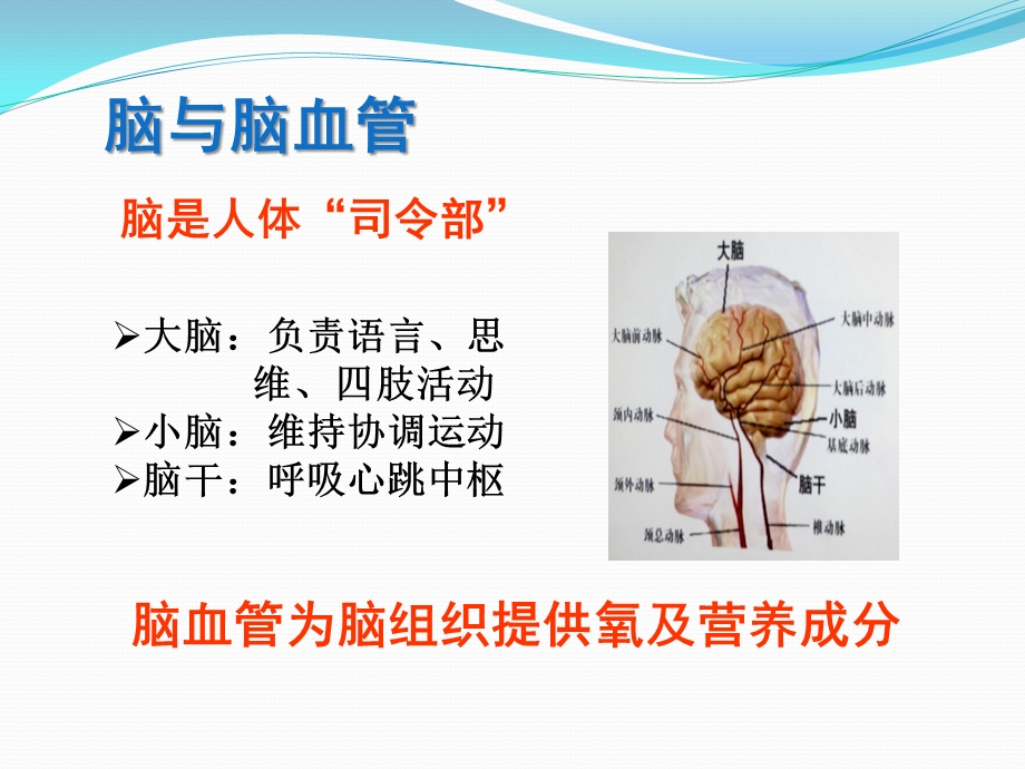 脑血管病总论-第四军医大学唐都医院神经外科王学廉.ppt_第2页