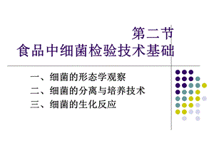 食品中细菌检验技术基础.ppt