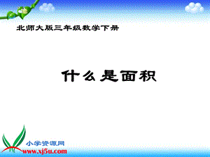 什么是面积.ppt