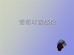 葡萄球菌感染.ppt