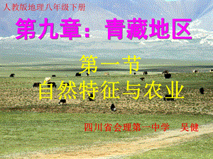 青藏高原自然特征与农业.ppt