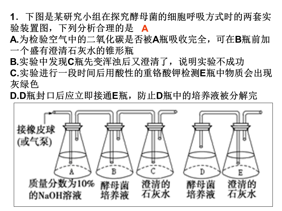 酵母菌呼吸方式习.ppt_第1页