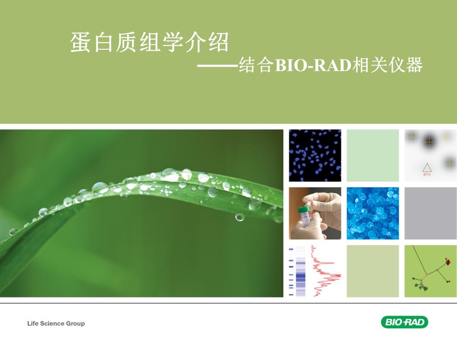 蛋白质组学研究介绍结合双向电泳.ppt_第1页