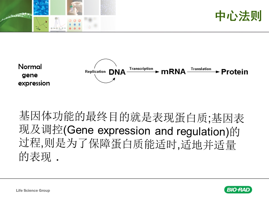 蛋白质组学研究介绍结合双向电泳.ppt_第3页