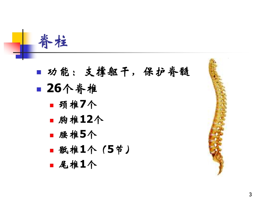 脊髓损伤评定课件.ppt_第3页