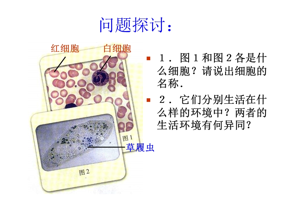 高二生物细胞生活的环境讲.ppt_第2页