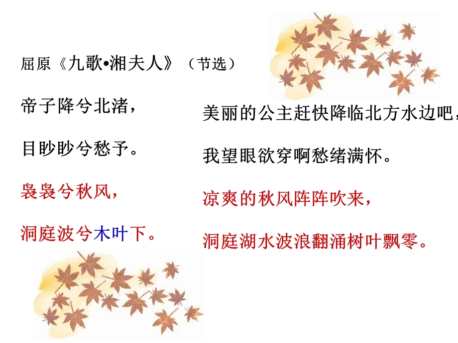 说木叶(自己做的公开课用).ppt_第3页