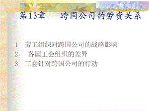 跨国公司的劳资关系.ppt